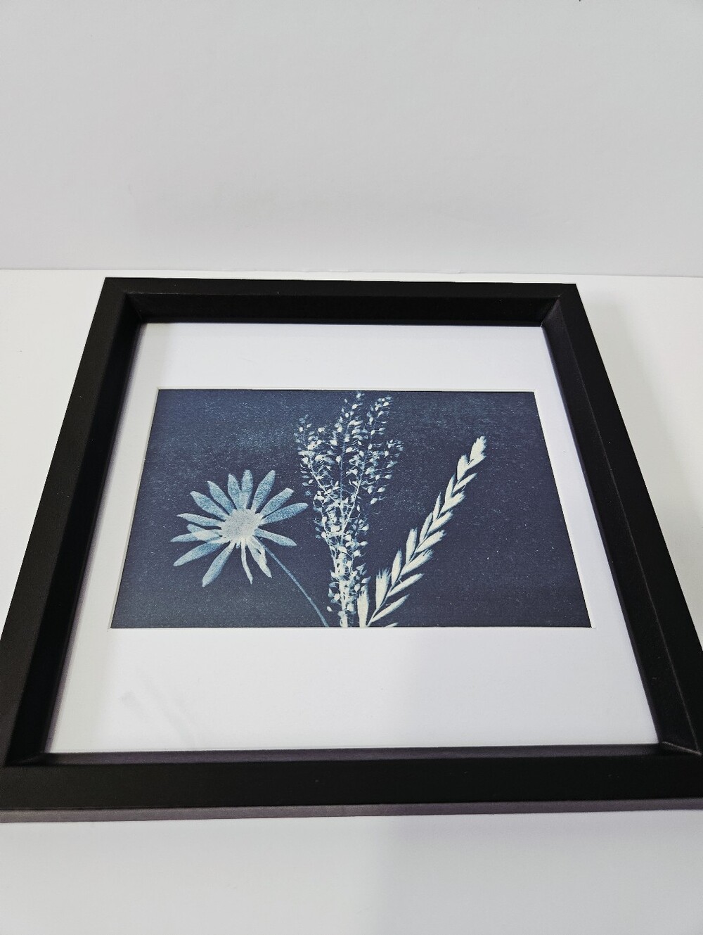 Handmade Original Cyanotype Botanical Art Framed Set Prairie Grasses Floral - Picture 3 of 3